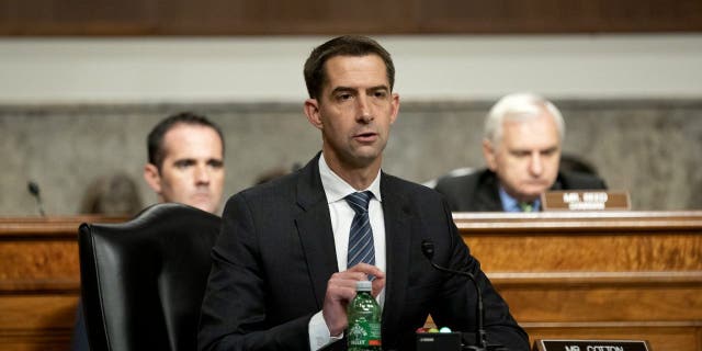 その. トム・コットン, R-アーク. speaks during a Senate Armed Services Committee hearing.