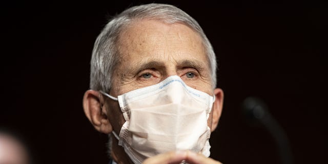 Anthony Fauci, director of the National Institute of Allergy and Infectious Diseases, listens during a Senate Health, Education, Labor, and Pensions Committee hearing in Washington, D.C., U.S., on Thursday, Nov. 4, 2021. Photographer: Al Drago/Bloomberg via Getty Images