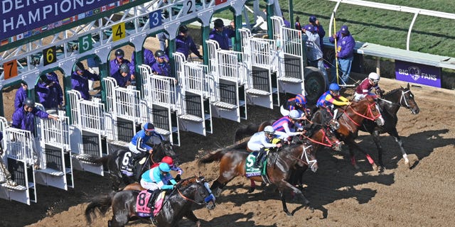 Horses break from the starting gate for the Breeders' Cup Dirt Mile Nov. 6, 2021, at the Breeder's Cup World Championships in Del Mar, Calif.