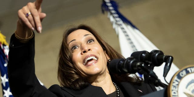 Vice President Kamala Harris speaks at the Plumbers and Pipefitters Local 189 union hall on Nov. 19, 2021, in Columbus, Ohio, to promote the Bipartisan Infrastructure Law. (Photo by BRENDAN SMIALOWSKI/AFP via Getty Images)