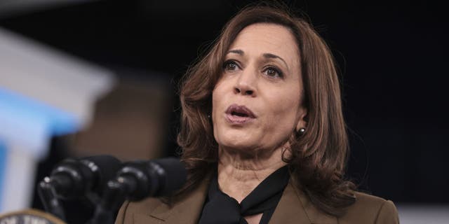 Vice President Kamala Harris speaks in the Eisenhower Executive Office Building in Washington, D.C., on Monday, Nov. 22, 2021. Harris spoke about equity and the nation's health care workforce. (Photographer: Oliver Contreras/Abaca/Bloomberg via Getty Images)