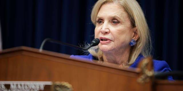 House Oversight Committee Chairwoman Rep. Carolyn Maloney (D-NY) is running in the Democratic primary for New York's new 12th district against Nadler.