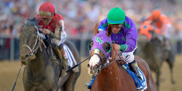 California Chrome with Miguel Mena up, 권리, edges out Ride On Curlin, 왼쪽, with Joel Rossario up, to twin the 139th running of the Preakness Stakes at Pimlico Race Course in Baltimore, 메릴랜드, 할 수있다 17, 2014.