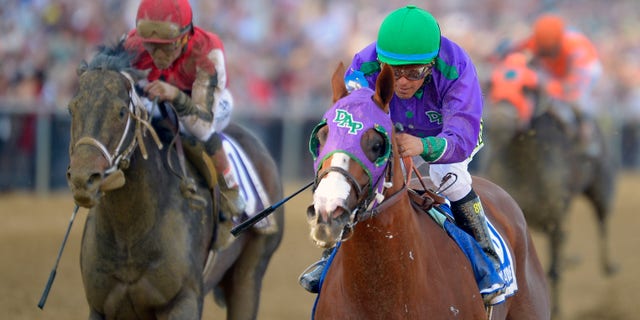 California Chrome with Miguel Mena up, right, edges out Ride On Curlin, left, with Joel Rossario up, to twin the 139th running of the Preakness Stakes at Pimlico Race Course in Baltimore, Maryland, May 17, 2014.