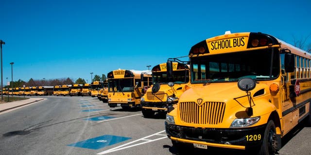 School buses lined up in Fairfax, Virginia. (Education Images/Universal Images Group via Getty Images)
