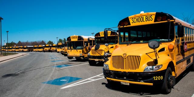 School buses lined up in Fairfax, Virginia. (Education Images/Universal Images Group via Getty Images)