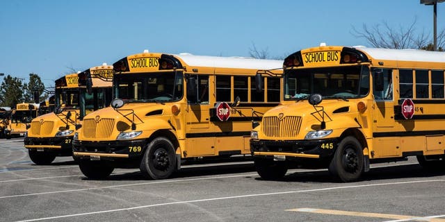 School buses lined up in Fairfax, Virginia. 