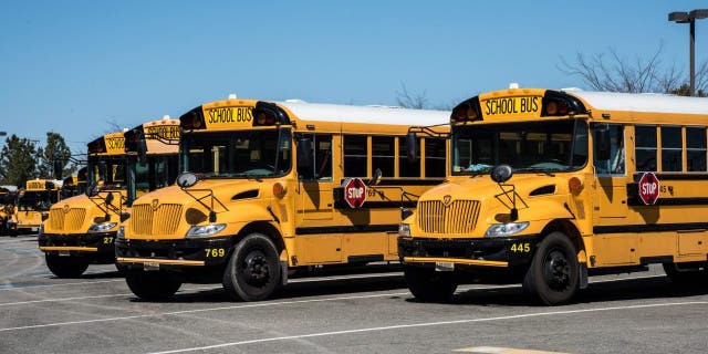 School buses line up in Fairfax, Virginia.