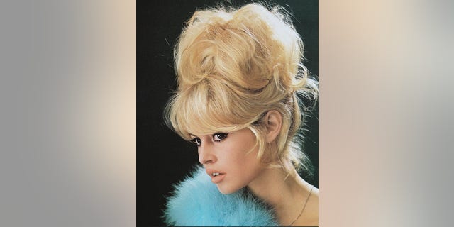 Brigitte Bardot, a French actress and one-time sex symbol, retired from the film industry in the '70s.