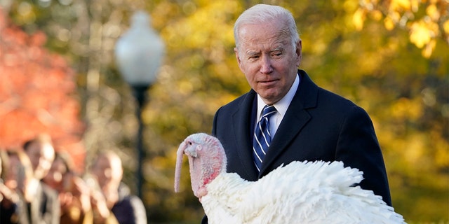 President Joe Biden walks past Peanut Butter, the national Thanksgiving turkey, after it was pardoned during a ceremony in the Rose Garden of the White House on Friday, Nov. 19, 2021. 
