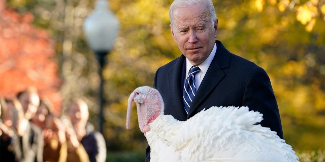 President Biden walks past Peanut Butter, the national Thanksgiving turkey, after he was pardoned during a ceremony in the Rose Garden of the White House in Washington, Friday, Nov. 19, 2021. (AP Photo/Susan Walsh)