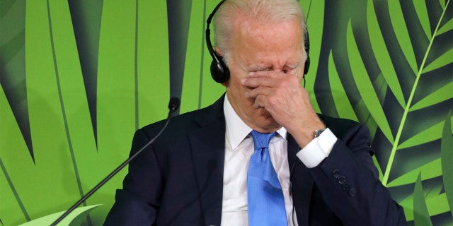 Youngkin victory deals another blow to Biden as agenda stalls in Congress - Virginia Election 1 President Biden attends the Action on Forests and Land Use session at the UN Climate Change Conference COP26 in Glasgow, Scotland, Tuesday, Nov. 2, 2021.