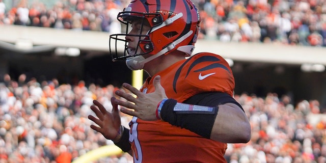 Cincinnati Bengals quarterback Joe Burrow celebrates after scoring a touchdown against the Pittsburgh Steelers during the first half of an NFL football game, 星期日, 十一月. 28, 2021, 在辛辛那提.