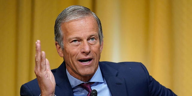 Sen. John Thune asks questions during a Senate Finance Committee meeting on Capitol Hill, May 12, 2021. (Susan Walsh/POOL/AFP via Getty Images)