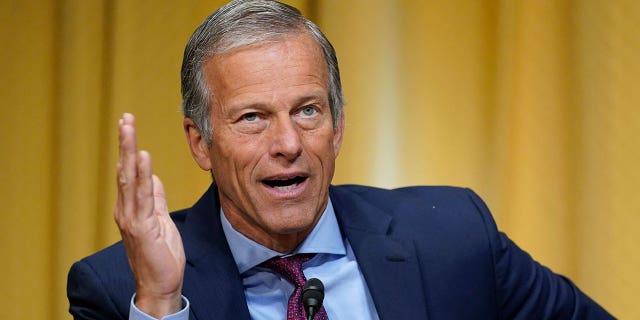 Sen. John Thune questions U.S. Trade Representative Katherine Tai as she testifies before the Senate Finance Committee on Capitol Hill in Washington, May 12, 2021.