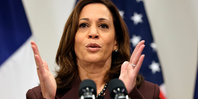 Vice President Kamala Harris speaks during a press conference in Paris, Friday, Nov. 12, 2021. (Thomas Coex, Pool Photo via AP)