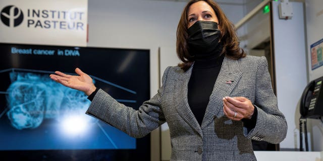 Vice President Kamala Harris talks to reporters after meeting with scientists conducting cancer research at the Institut Pasteur in Paris, France on Tuesday, November 9, 2021. Sarahbeth Maney/Pool via REUTERS