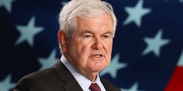 Former House Speaker Newt Gingrich