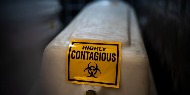 FILE - A sealed coffin containing the remains of a COVID-19 victim is stored in a refrigerated container in Johannesburg, Tuesday, Feb. 2, 2021. A new coronavirus variant has been detected in South Africa that scientists say is a concern because of its high number of mutations and rapid spread among young people in Gauteng, the country's most populous province.