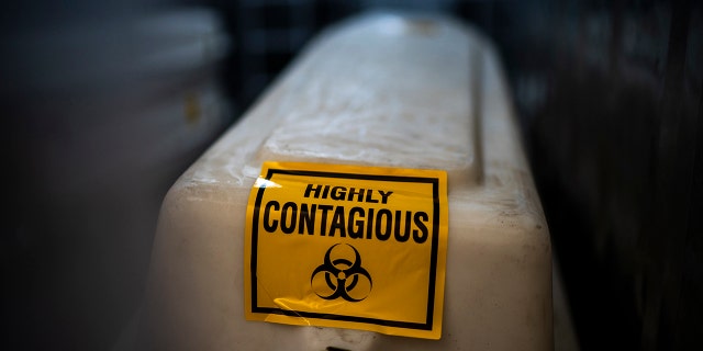FILE - A sealed coffin containing the remains of a COVID-19 victim is stored in a refrigerated container in Johannesburg, Tuesday, Feb. 2, 2021. A new coronavirus variant has been detected in South Africa that scientists say is a concern because of its high number of mutations and rapid spread among young people in Gauteng, the country's most populous province.