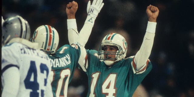 Quarterback Doug Pederson (14) of the Miami Dolphins celebrates kicker Pete Stoyanovich's game-winning 19-yard kick against the Dallas Cowboys at Texas Stadium on Nov. 25, 1993, in Irving, Texas. The Dolphins defeated the Cowboys 16-14.