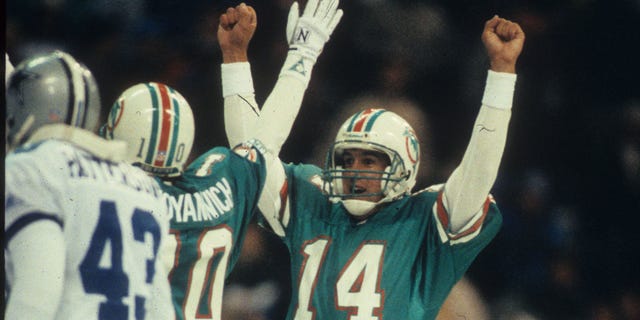 Quarterback Doug Pederson (14) of the Miami Dolphins celebrates kicker Pete Stoyanovich's game-winning 19-yard kick against the Dallas Cowboys at Texas Stadium on Nov. 25, 1993, in Irving, Texas. The Dolphins defeated the Cowboys 16-14. 