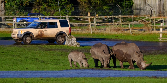 Wardens patrol the facility in Land Rover SUVs.