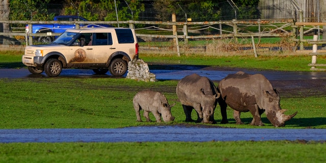 Wardens patrol the facility in Land Rover SUVs.