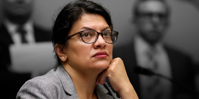 Rep. Rashida Tlaib, D-Mich., listens as acting Homeland Security Secretary Kevin McAleenan testifies before the House Oversight and Reform Committee July 18, 2019, in Washington, D.C.