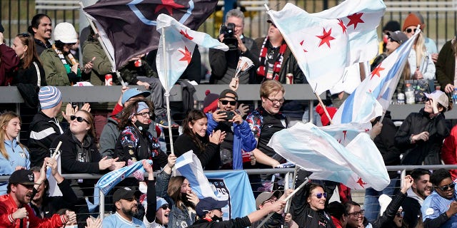 Supporters cheer after Chicago Red Stars forward Rachel Hill scores a goal during the first half of the NWSL Championship soccer match against the Washington Spirit, Nov. 20, 2021, in Louisville, Ky.