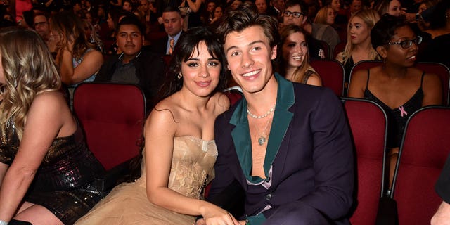 Shawn Mendes and Camila Cabello have called it quits.