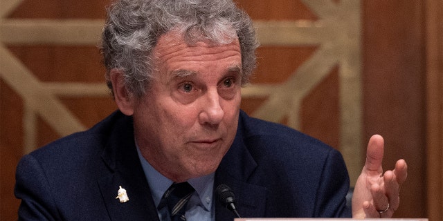 Chairman Sherrod Brown, D-Ohio, questions nominee to be the Comptroller of the Currency Saule Omarova as she testifies before the Senate Banking, Housing and Urban Affairs Committee during a hearing on Capitol Hill in Washington, D.C., on Nov. 18, 2021.