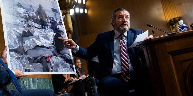 Both Sens. Graham and Cruz, who serve on the Senate Judiciary Committee, prior to this letter have implored DHS Secretary Mayorkas and the White House numerous times to make changes and address the border crisis.