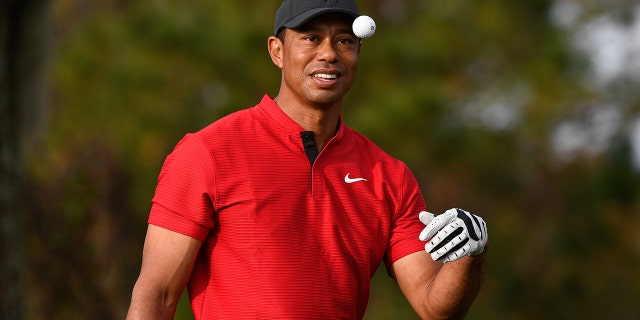 tiger woods to appear at hero world challenge golf tournament fox news