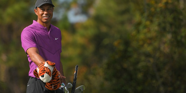 tiger woods to appear at hero world challenge golf tournament fox news