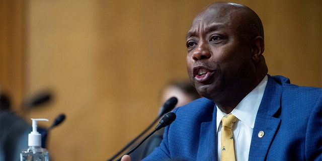 Sen.  Tim Scott, RS.C., questions Chris Magnus as Magnus appears before a Senate Finance Committee hearing on his nomination to be the next US Customs and Border Protection commissioner in the Dirksen Senate Office Building on Capitol Hill in Washington, DC, Oct. 19 , 2021.