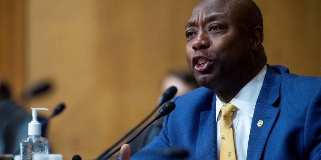 Sen.  Tim Scott, RS.C., questions Chris Magnus as Magnus appears before a Senate Finance Committee hearing on his nomination to be the next US Customs and Border Protection commissioner in the Dirksen Senate Office Building on Capitol Hill in Washington, DC, Oct. 19 , 2021.