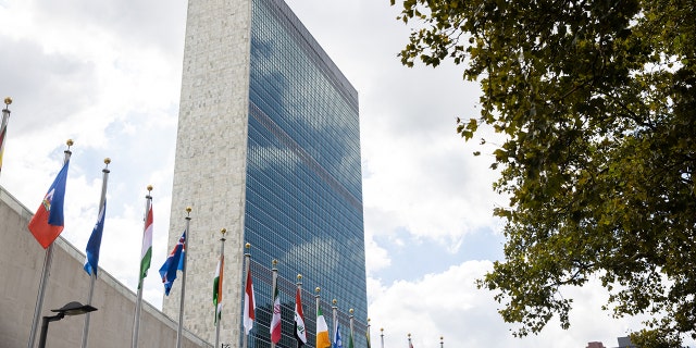 International flags outside the United Nations headquarters in New York Sept. 20, 2021.