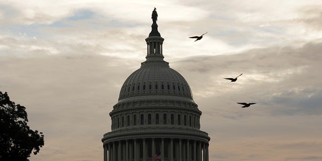 Birds fly near the U.S. Capitol in Washington, U.S., October 4, 2021. 