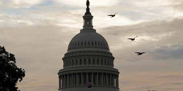 Birds fly near the U.S. Capitol in Washington, U.S., October 4, 2021. 