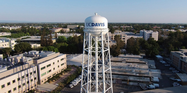This photo provided by the University of California, Davis shows the university campus in Davis, Calif., on April 3, 2015. (Chris Di Dio/University of California, Davis via AP)