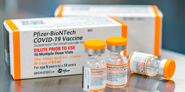 FILE: This October 2021, photo provided by Pfizer shows kid-size doses of its COVID-19 vaccine in Puurs, Belgium.