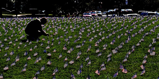 American flags have been planted on a grassy area of the Mall with each representing a veteran or a service member who died by suicide in 2018. A new independent study said the number of veteran suicides is more than double federal estimates.