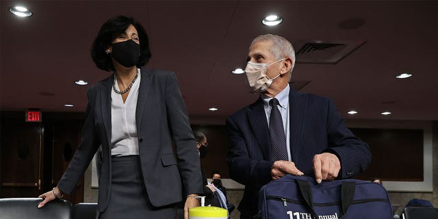 WASHINGTON, DC - 십일월 04: Centers for Disease Control and Prevention Director Rochelle Walensky (엘) and NIH National Institute of Allergy and Infectious Diseases Director Anthony Fauci arrive ahead of testifying before the Senate Health, 교육, Labor, and Pensions Committee about the ongoing response to the COVID-19 pandemic in the Dirksen Senate Office Building on Capitol Hill on November 04, 2021 워싱턴, DC.