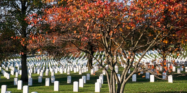 Arlington Cemetery is seen ahead of a full honors procession honoring the centennial anniversary of the Tomb of the Unknown Soldier, on Nov. 11, 2021. 