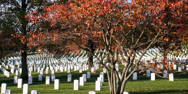 Arlington Cemetery is seen ahead of a full honors procession honoring the centennial anniversary of the Tomb of the Unknown Soldier, on Nov. 11, 2021.