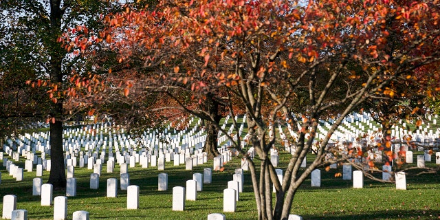 Arlington Cemetery is seen ahead of a full honors procession honoring the centennial anniversary of the Tomb of the Unknown Soldier, on Nov. 11, 2021. 