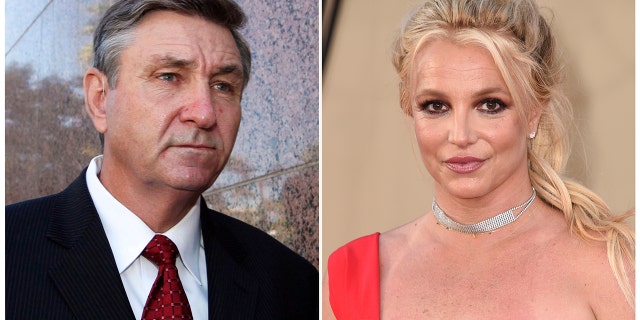 Spears has accused her conservator, mainly her father, Jamie Spears, of preventing her from having another child while she was under her conservatorship. Spears' conservatorship ended in November.