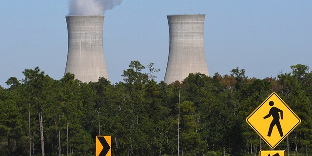 The cooling towers at the Stanton Energy Center, a coal-fired power plant, are seen in Orlando.  
