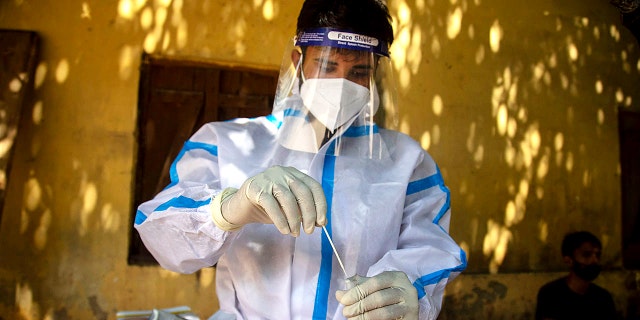 A health worker collects a nasal swab sample to test for COVID-19 in a shop in Gauhati, India, Friday, Sept. 3, 2021. (AP Photo/Anupam Nath)